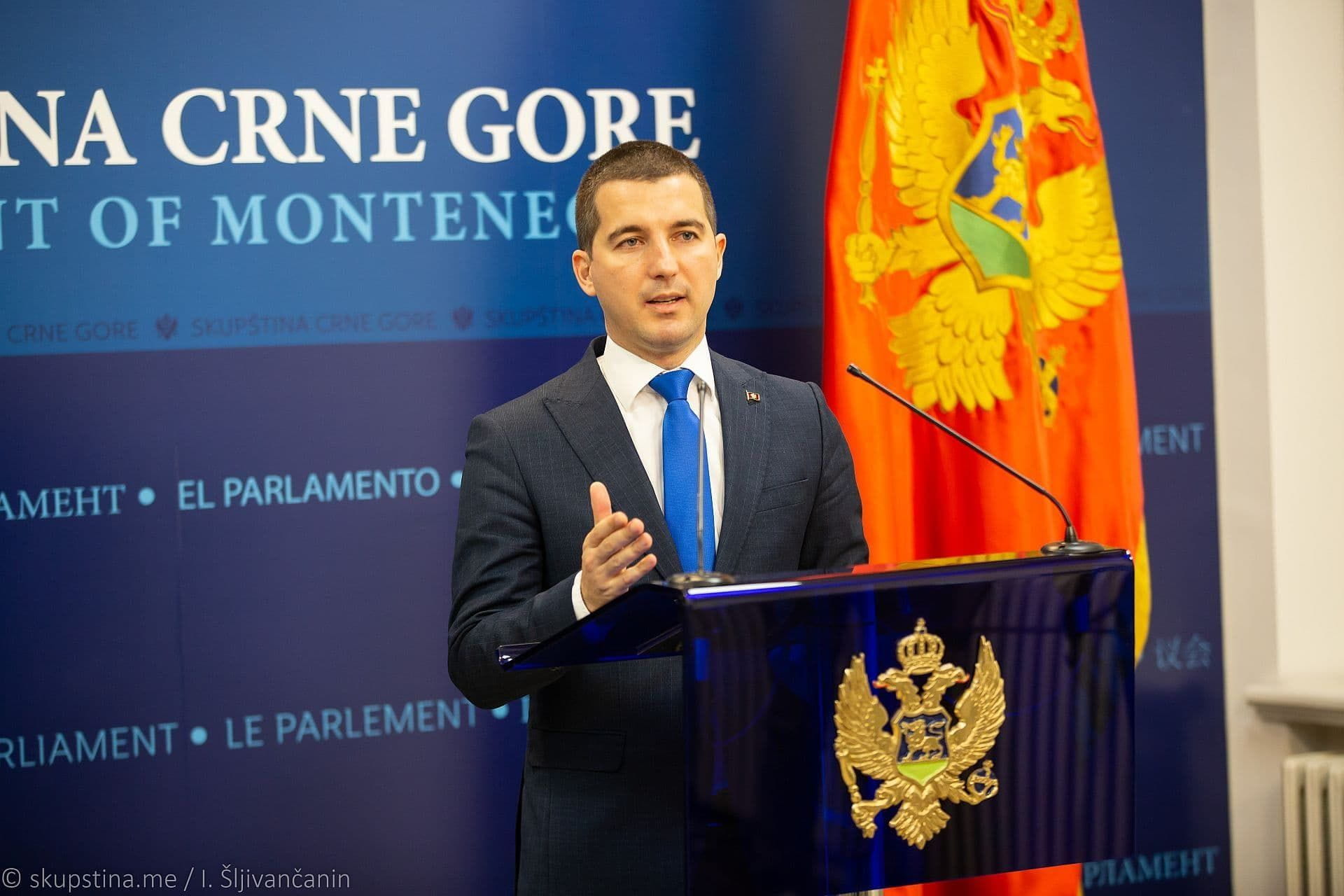 19th SAPC meeting ended Skupština Crne Gore